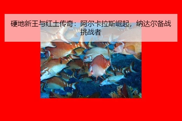 ying-di-xin-wang-yu-hong-tu-chuan-qi-a-er-ka-la-si-jue-qi-na-da-er-bei-zhan-tiao-zhan-zhe-1-150.jpg
