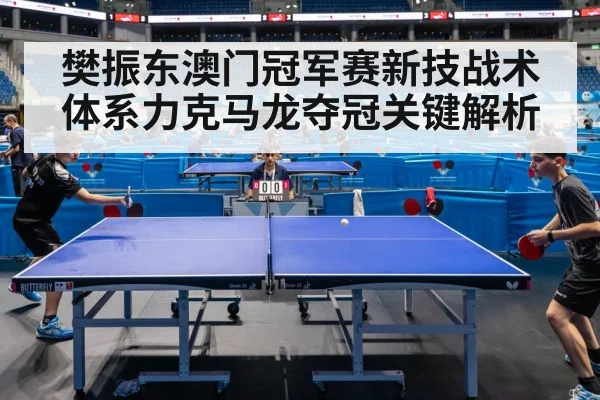 樊振东澳门冠军赛新技战术体系力克马龙夺冠关键解析