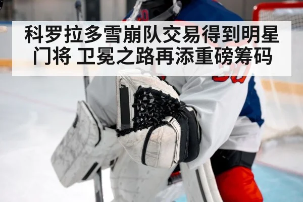 科罗拉多雪崩队交易得到明星门将 卫冕之路再添重磅筹码